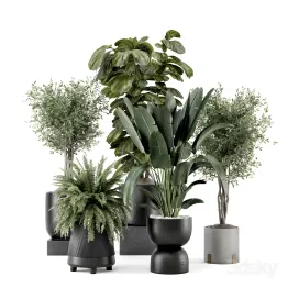 Indoor plants in ferm living bau pot large